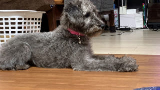 習慣化した行動は新しい習慣で改善しよう